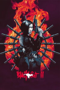 Codename: Cobra (1992)