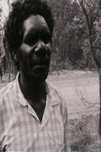 Conversations with Dundiwuy Wanambi (1995)