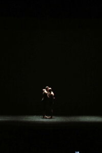 Corpo a corpo (2014)