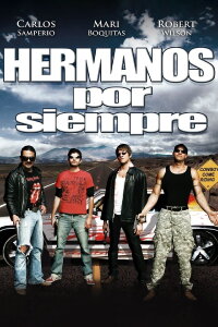 Cowboys Come Riding (2008)