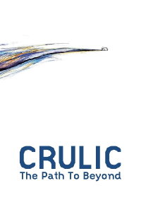 Crulic - Weg ins Jenseits (2011)