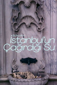 İstanbul'un Çağırdığı Su (1977)