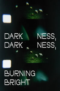Darkness, Darkness, Burning Bright (2022)