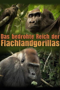Das bedrohte Reich der Flachlandgorillas (2007)