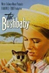 Das Buschbaby (1969)
