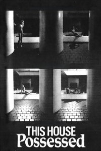 Das Haus der tausend Augen (1981)