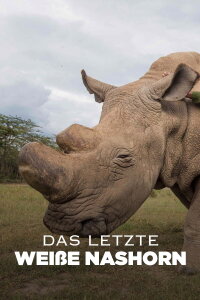 Das letzte Weiße Nashorn (2019)