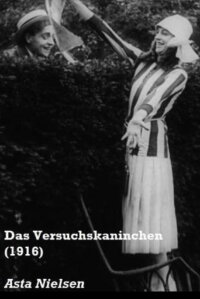Das Versuchskaninchen (1916)