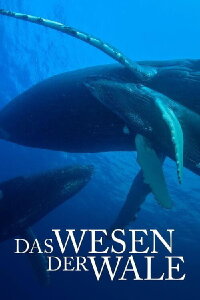 Das Wesen der Wale (2018)