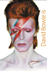 David Bowie Is Happening Now (2013)