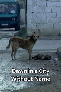 Dawn in a City Without Name (2014)