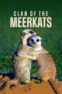 Der Clan der Erdmännchen (2010)