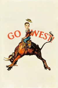 Der Cowboy (1925)