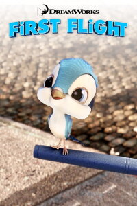Der erste Flug (2006)