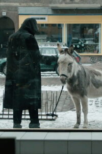 Der Fall (2013)