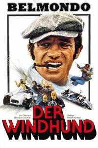 Der Windhund (1979)