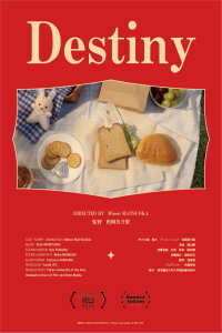 Destiny (2021)