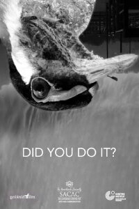 Did You Do It? (2020)