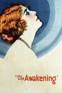 Die Fahrt ins Feuer (1928)