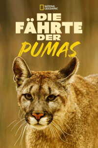 Die Fährte der Pumas (2018)