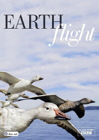 Die fantastische Reise der Vögel (2013)