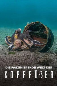 Die faszinierende Welt der Kopffüßer (2020)
