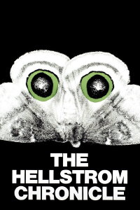 Die Hellstrom Chronik (1971)