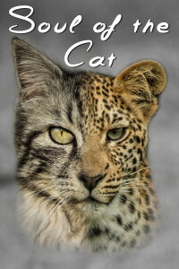 Die Natur der Katzen (2017)