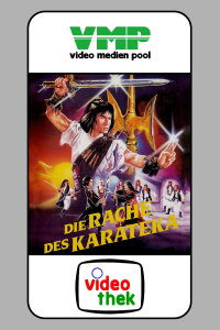 Die Rache des Karateka (1980)