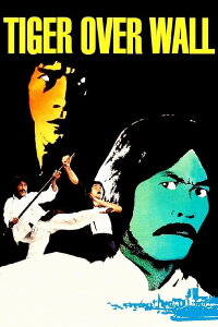 Die Rache des Kung Fu Tigers (1980)
