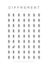 Diffrerent (2017)