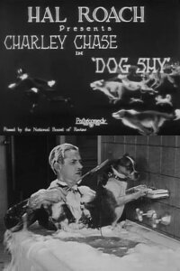 Dog Shy (1926)