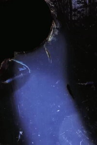 Drill Blue (2015)