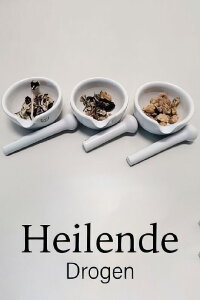 Drugs that Heal: Could Psychedelics Treat Depression? (2022)