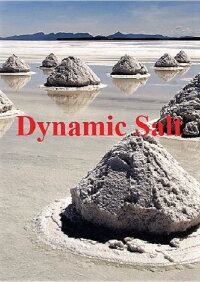 Dynamic Salt (2015)