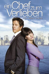 Ein Chef zum Verlieben (2002)
