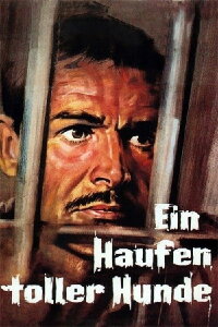 Ein Haufen toller Hunde (1965)