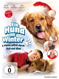 Ein Hund im Winter (2013)