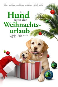 Ein Hund rettet den Weihnachtsurlaub (2012)
