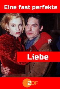 Eine fast perfekte Liebe (1996)