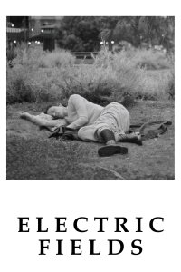 Electric Fields (2024)