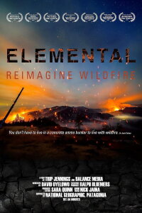 Elemental (2022)
