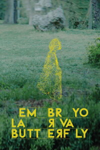 Embryo Larva Butterfly (2024)