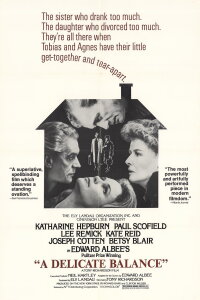 Empfindliches Gleichgewicht (1973)