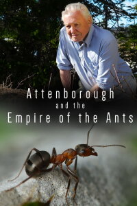 Empire of the Desert Ants (2017)