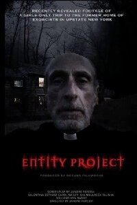 Entity Project (2019)