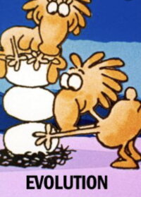 Evolution (1971)