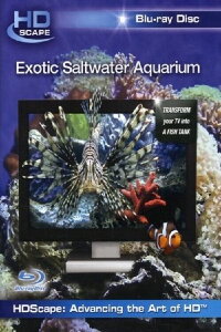 Exotic Saltwater Aquarium (2006)