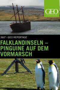 Falklandinseln : Pinguine auf dem Vormarsch (2010)