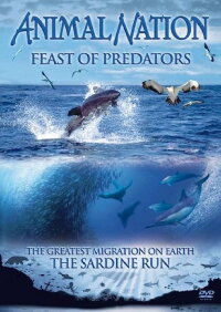 Feast of Predators (2004)